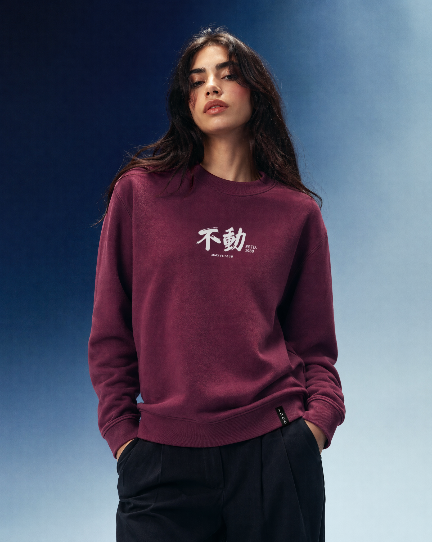GRAPHIC SWEATSHIRT #3 | Sudadera con estampado Samurai